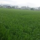 새누리농장 이미지