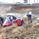 행복태양광발전소 이미지