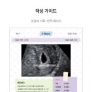 디자인수첩 | 육아 어플 럽맘 온라인 산모수첩 이용 솔직후기