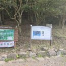 송호길민박 네이버블로그