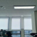 애드와이즈