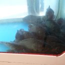 할매뚝배기 이미지