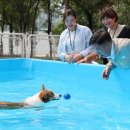 구민동물병원 이미지