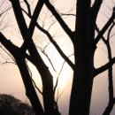 법원중앙외과의원 이미지