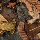 프렌즈동물병원 이미지