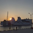 경상북도교육청 울릉도서관 | [울릉도서관 #060]마중은, 사실은 말이야