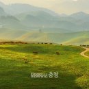 추진목장 이미지