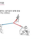 김진 카카오 검색결과