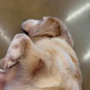 미래산부인과의원 이미지