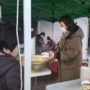 원도심 은행나무 이미지