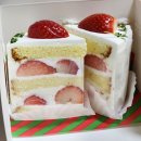 이오비즈 | BIG VOID