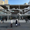 플레이스인콘크리트