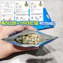 맑은 캔디 특가 이미지