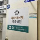 닥터아이펫 동물병원 이미지