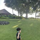 이안 메드 이미지