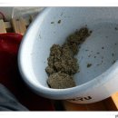 신촌낚시터 이미지