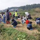포리초등학교 이미지