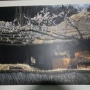 새감포복집 이미지