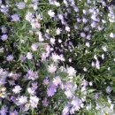 홍대전철역 8번출구 이미지