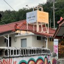 스테이서프픽 이미지