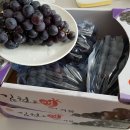 은어송한의원 이미지