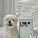 하이독 | 입 짧은 강아지도 잘 먹는 피부 화식, 하이독 케어브이 알러프 스킨 후기