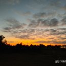 선월농장 이미지