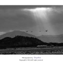 대위리-양지리 이미지