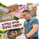 보성녹돈(녹차먹인돼지) | 울산 무거동 소고기 보성녹돈 명품한우 울산대 맛집 돼지갈비 모임장소 추천