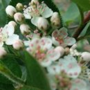 고헌농장 이미지