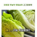 고그린팜