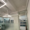 더리브디하우트 이미지