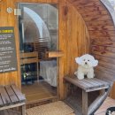 힐스톤애견풀빌라 이미지