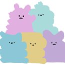 글로비성형외과의원 이미지