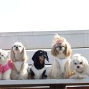 스위트몽 이미지