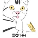지경희동물병원 이미지