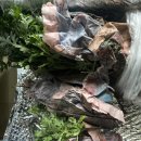 행주농장 이미지