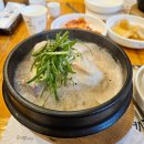 갑오삼계탕 | 경남 창원 | 살짝 아쉬웠던 상남동 삼계탕 맛집 &#39;갑오삼계탕&#39; 후기