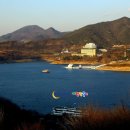 무궁화관광 (주) Daum카페