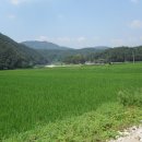 생초초등학교 이미지