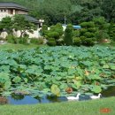 다도박물관 이미지