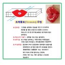 하모니카첫걸음 이미지