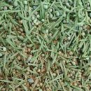 강하생활체육공원 이미지