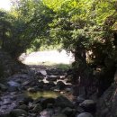 도화 민박 이미지