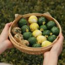 초록푸드 이미지