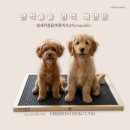 (주)성산피엔티