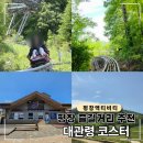 대관령 | 강원도 평창 액티비티 추천! 평창 대관령 코스터 솔직 후기