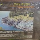 태하 모노레일 이미지