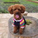 산수골황토방 이미지