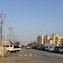 복돼지네 | 복돼지감자탕 :: 장호원 맛집 감자탕 추천 후기